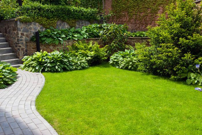 Весна – время посеять газон. Эксперт рассказала о тонкостях выращивания