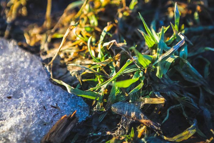 Чек-лист на апрель: заново учимся смеяться и смотрим русское кино