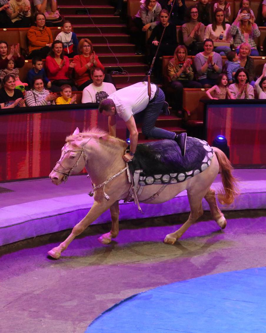 Москвичи на один вечер стали артистами цирка. С открытой репетиции был шанс попасть в директорскую ложу