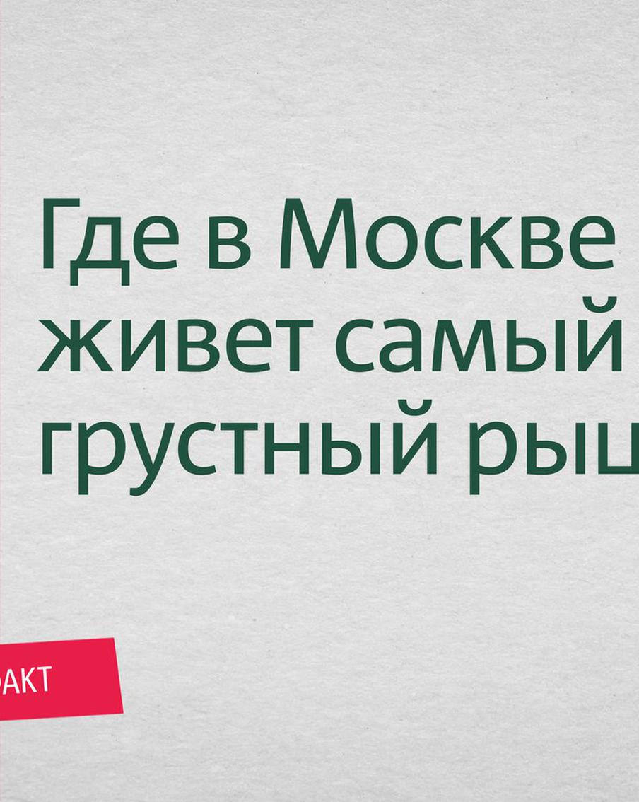 Устройте себе прогулку в поисках московских рыцарей