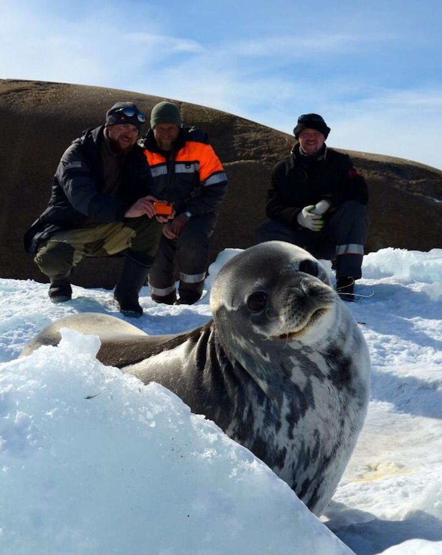 "Здесь ты радуешься простым вещам: работа, выходные, обед по расписанию". Режиссёр влюбился в Антарктиду и снимает о ней фильмы