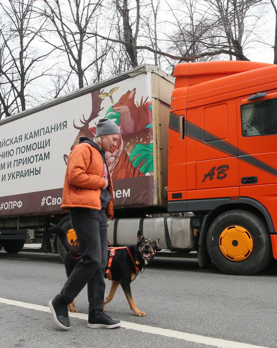 Зоопарк обеда ждёт: фура с гумпомощью для четвероногих поехала в ДНР