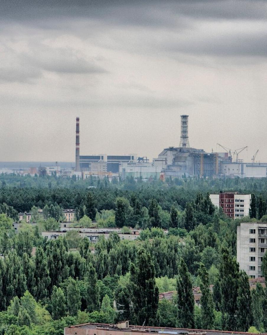 "Животный мир расцвёл заметно": биолог рассказал об изменениях в зоне Чернобыльской АЭС