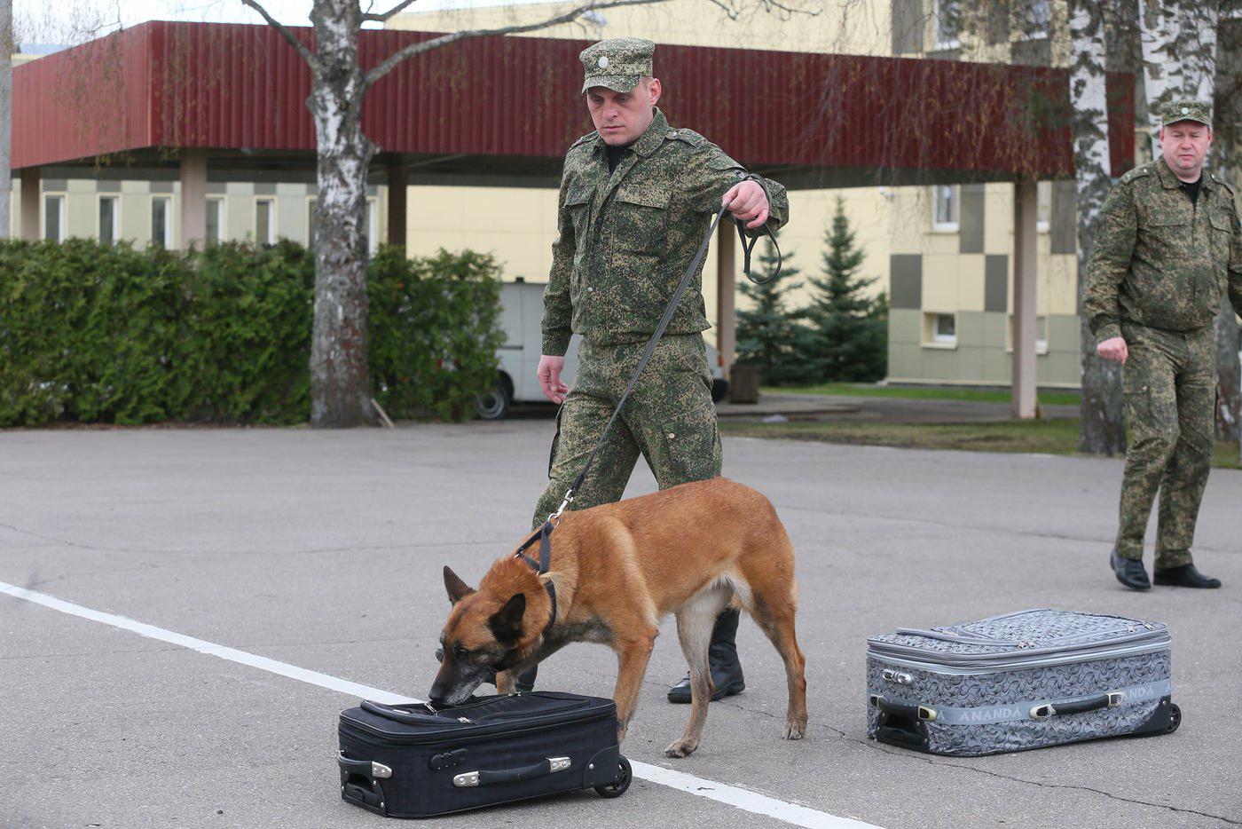 Михаил Сысоев работает с Герой уже 10 лет.