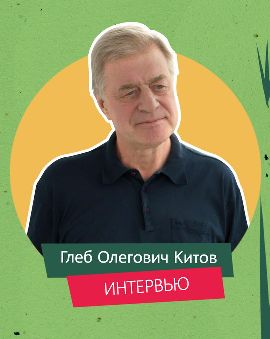 Сокольники – место развлечений и отдыха на природе. Смотрим на парк из московского окна