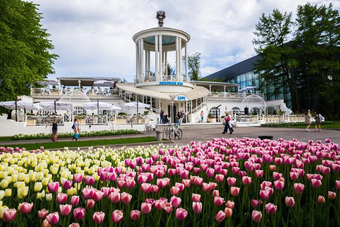 25 цветников в Царицыно и полтора миллиона цветов на ВДНХ. Как преобразятся самые модные парки Москвы