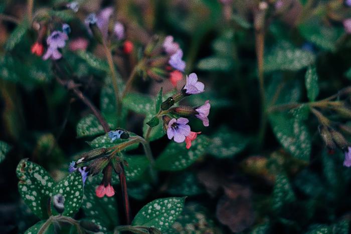 Что обычно делали славяне в день Егория Вешнего и почему нам с вами тоже следует этим заняться