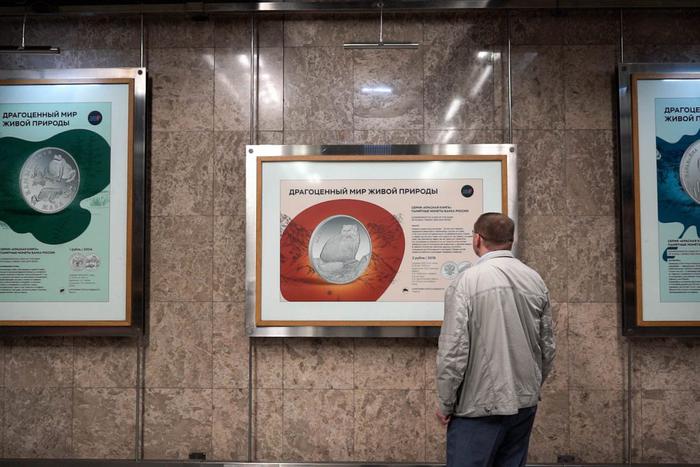 В столичном метро можно посмотреть монеты с каравайками, оленями и жабами