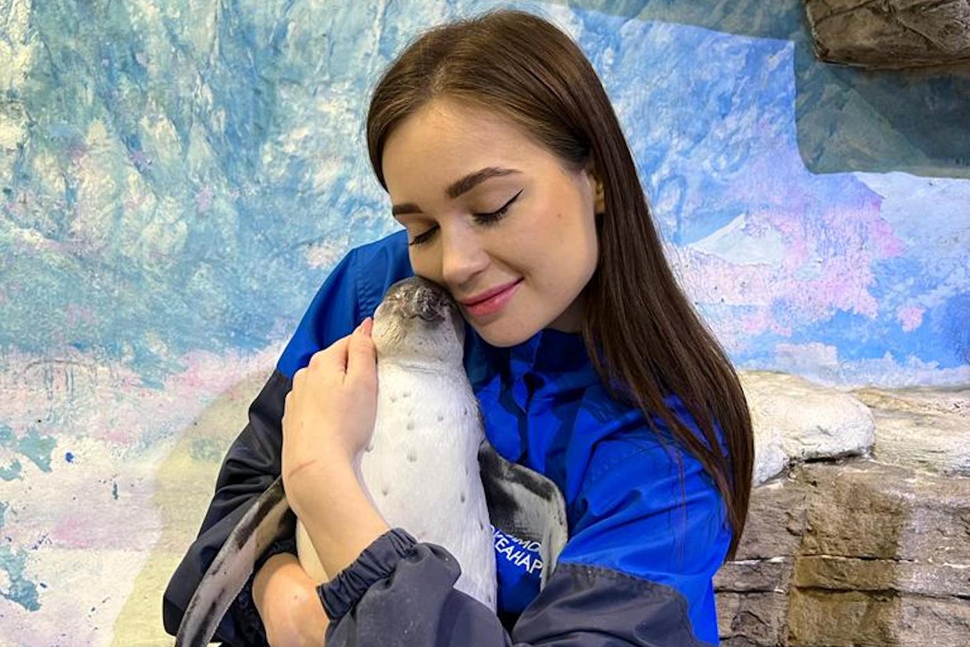 Пингвины Гумбольдта очень "няшные" и любопытные, а ещё умеют рисовать картины