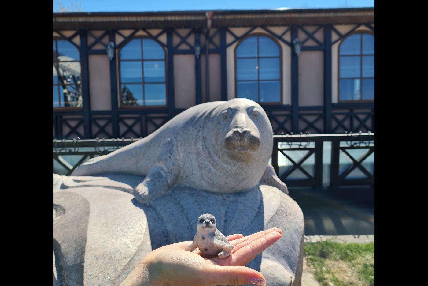 Ещё в Зеленоградске почитают тюленей, даже памятник им поставили. Раз в год тюлень может выплыть на набережную. Тогда это становится главной новостью города.