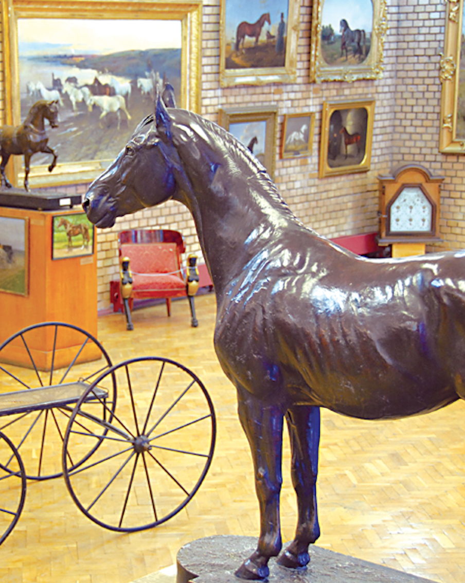 Семь мест, где можно открыть кое-что новое. И стать ещё более интеллектуальным человеком