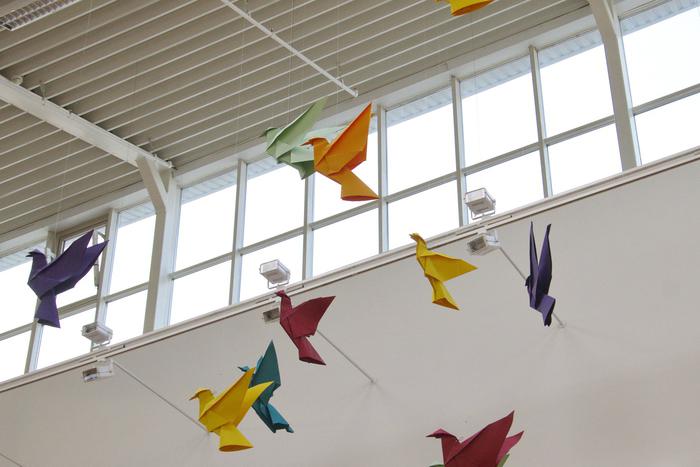 Складываем оригами на уроках математики. Как японское искусство помогает детям познавать и создавать мир