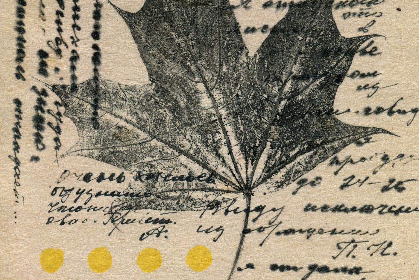 Русский язык обладает невероятной силой. Эксперты рассказали о "битве" латиницы с кириллицей