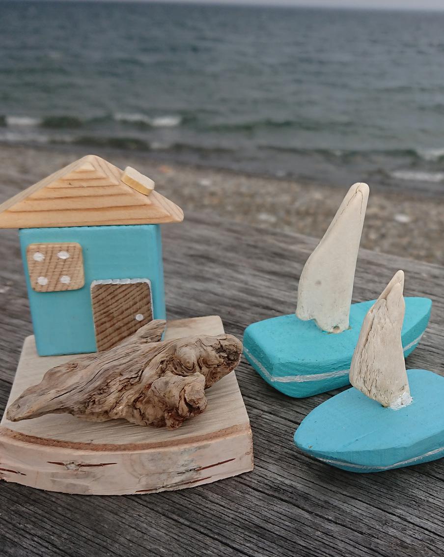 И в Национальном парке можно стать художником, если есть желание и много коряг под ногами