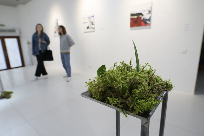 Вы когда-нибудь ассоциировали себя с зёрнышком? Открылась выставка про путешествие маленького семечка