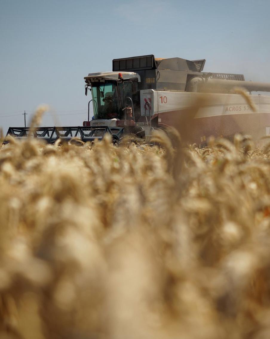 Киев просит у ФРГ подлодки и не хочет вывозить зерно: хроника очередного дня спецоперации