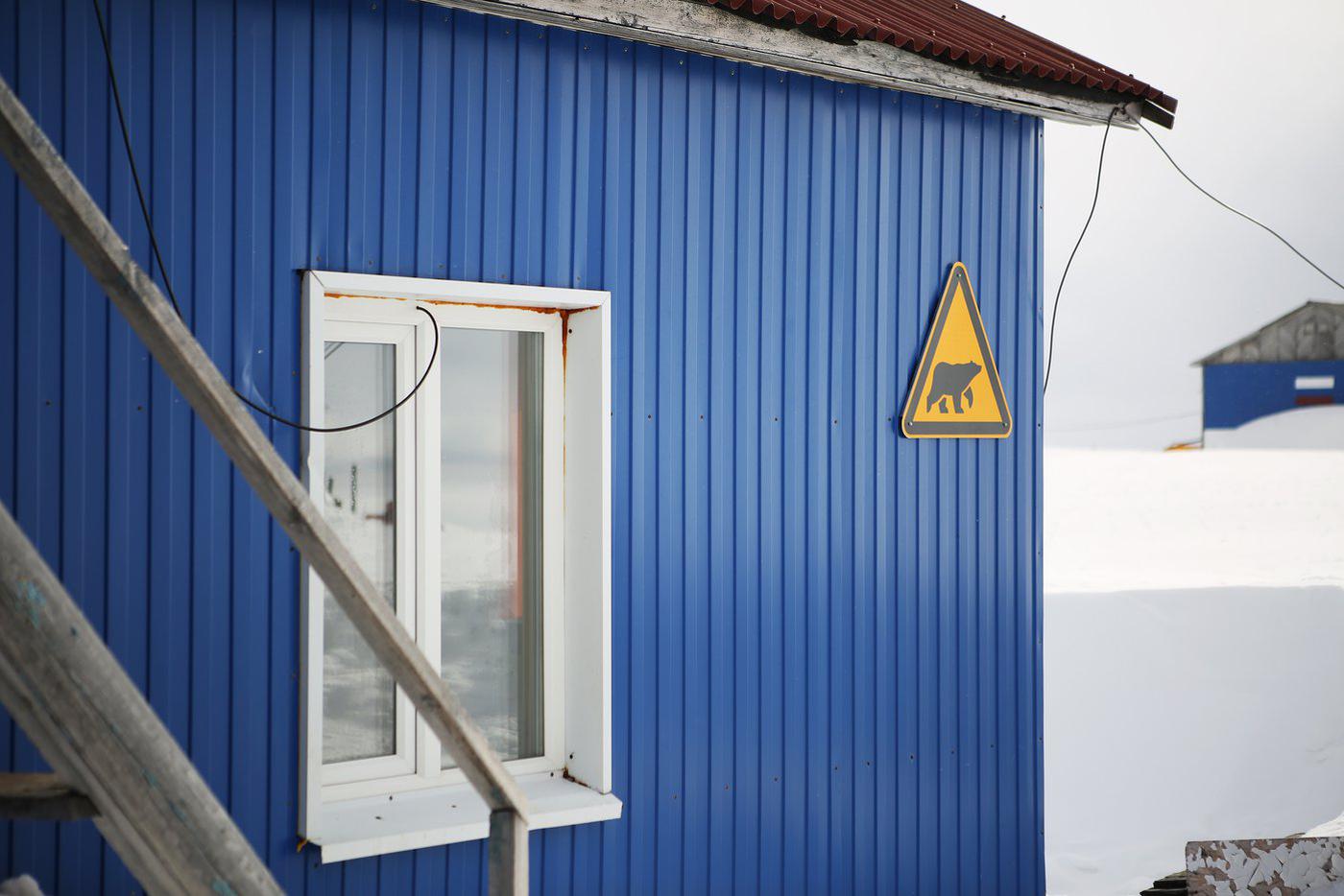 Иногда белые медведи забредают даже на территорию станции.