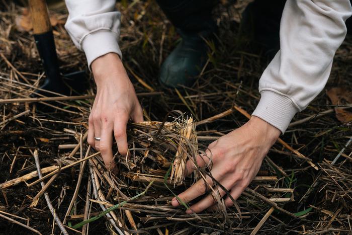 Сбор хвороста и атаки украинских хакеров: хроника очередного дня спецоперации