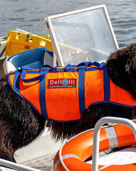 Людей защитят Wi-Fi и кинологи. Столичные спасатели рассказали, как этим летом обеспечат безопасность на городских водоёмах