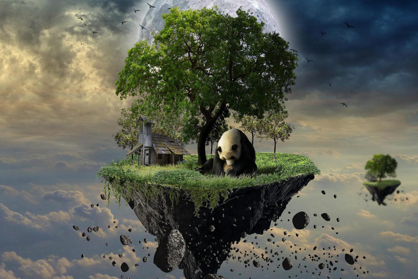 NFT-токены помогают или вредят окружающей среде, дикой природе и в целом – нашей планете?