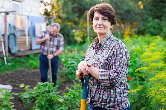 Летом многие отправляются на дачи создавать город-сад. Но людям в возрасте следует быть особенно осторожными