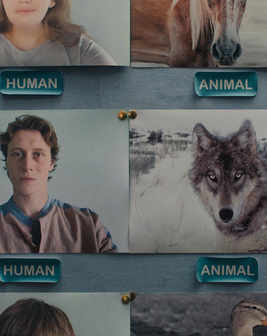 Я – "Волк" свободного племени: посмотрели драму с Маккеем и Депп