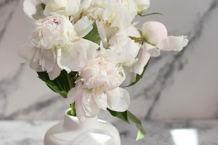 Пион – весенний цветок с пленительным ароматом, но чувствовать в парфюмерии его можно круглый год