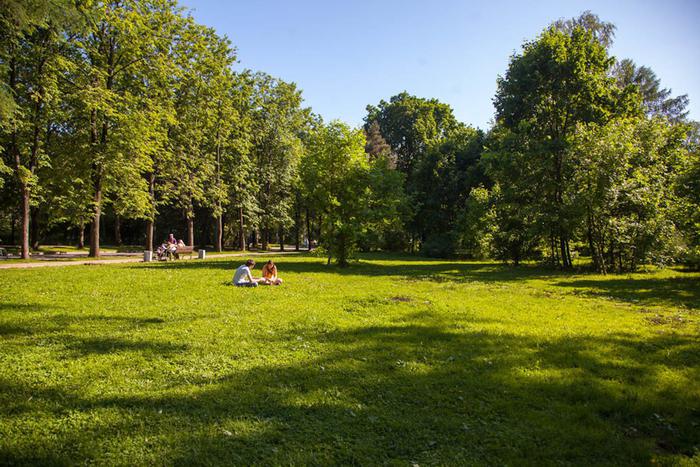 Квесты в поисках редких растений и наблюдение за птицами. Летний досуг для детей, оставшихся на каникулах в городе