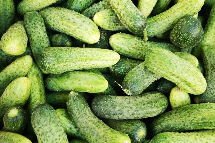 Какие планы на июль? Что в этом месяце предстоит сделать в саду и огороде