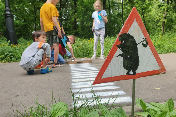 "Сбавь скорость, впереди ёжик!" В Дубнинском парке сделали пешеходный переход для ежей