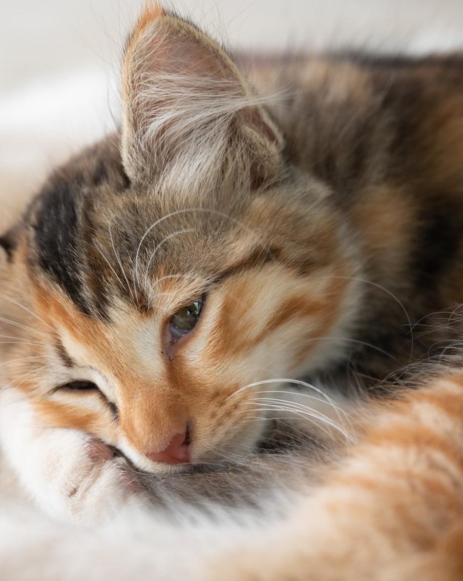 Выгорание или усталость: что у вас – покажет тест