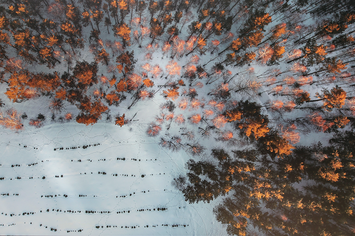 Наталья Коновалова и её фото «сверху» – Свердловская область, посёлок Чудова