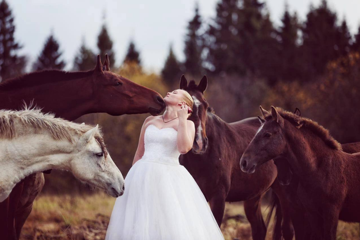 В лошадином приюте живут одноглазая Лаванда и хромой Лёлик. Обречённым животным дают вторую жизнь