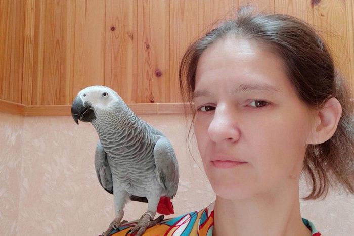 Сова курлычет на плече, а попугай болеет за "Спартак". Ручные птицы – существа умные и любопытные