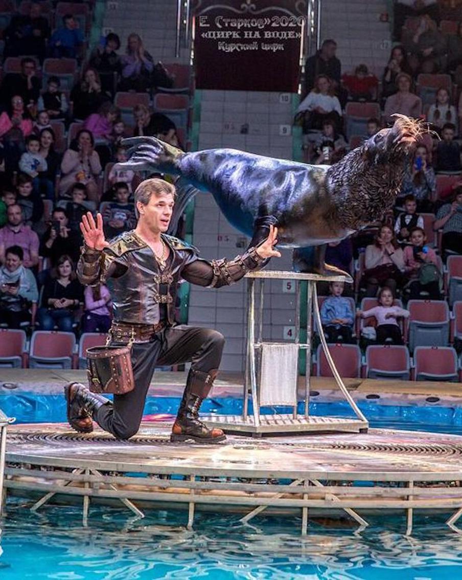 Шоу "Цирк на воде" против Росгосцирка. Кто прав и кто виноват в массовом увольнении артистов?