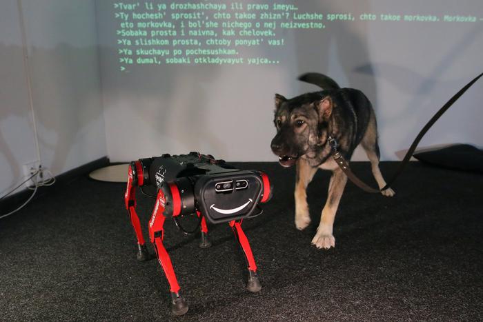 Живое с неживым: собаку познакомили с механическим псом