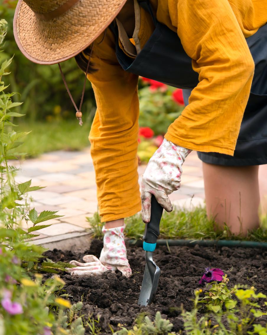 Какие дела в огороде нужно делать в августе