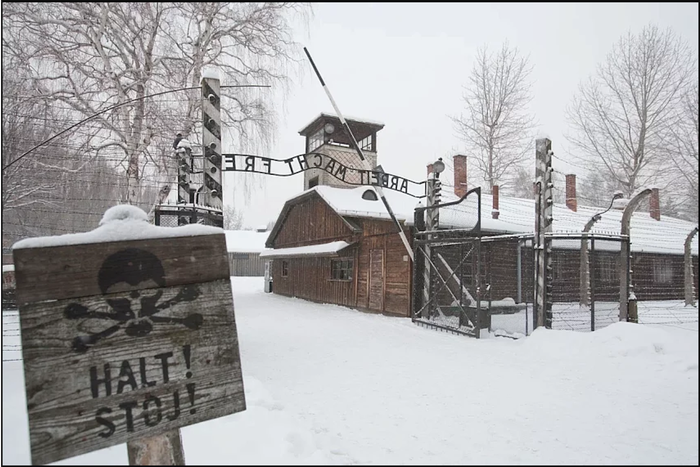 Рисунки после освобождения из Освенцима, рассказ о пленнице Марии Шварцман: на сайте Музея Победы появилась уникальная экспозиция