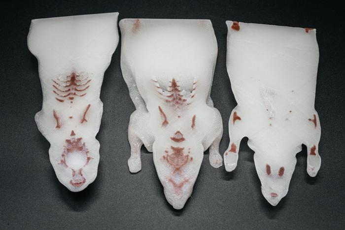 "Решили сделать фантомы для крыс и мышей": как томские учёные спасают лабораторных животных