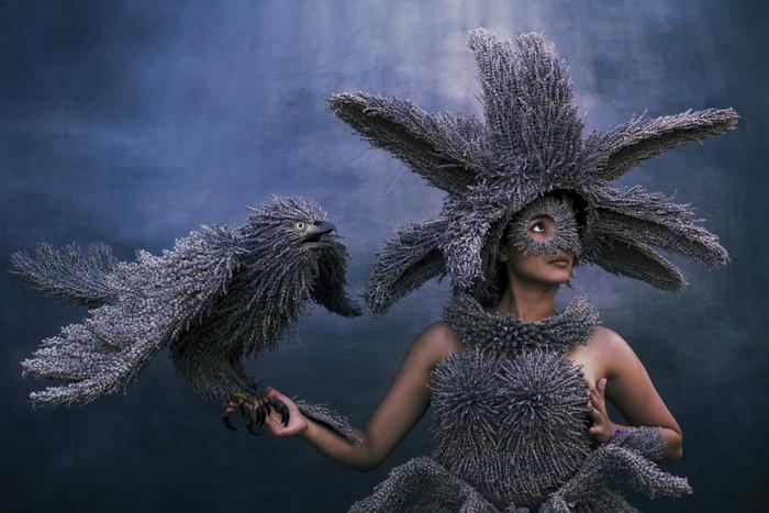 Бразильянка использует мох, камни, шишки и яичную скорлупу, чтобы создавать невероятные метаморфозы