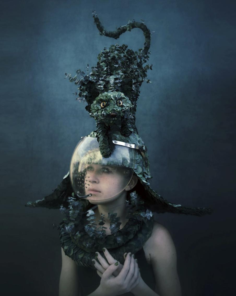 Работа Мелиссы Мейер.