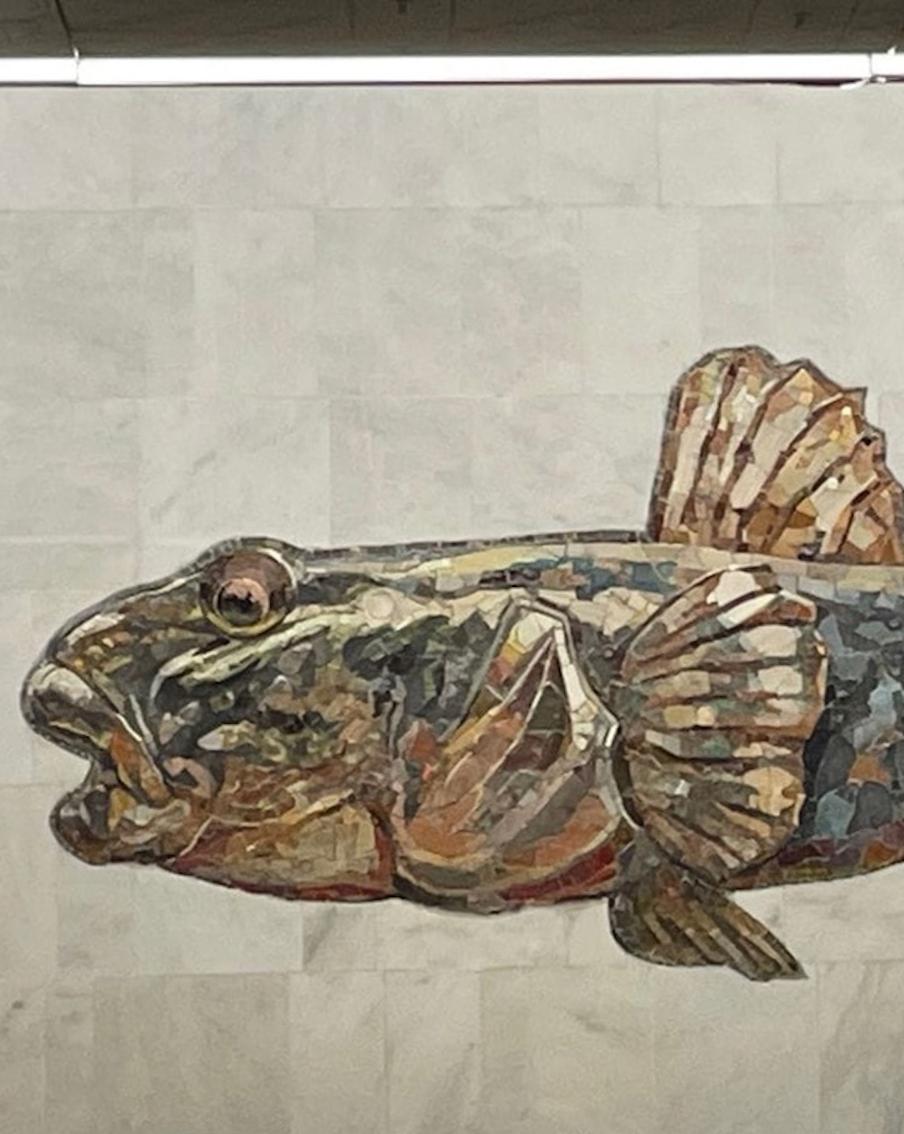 Огромные рыбы украсят новую станцию метро