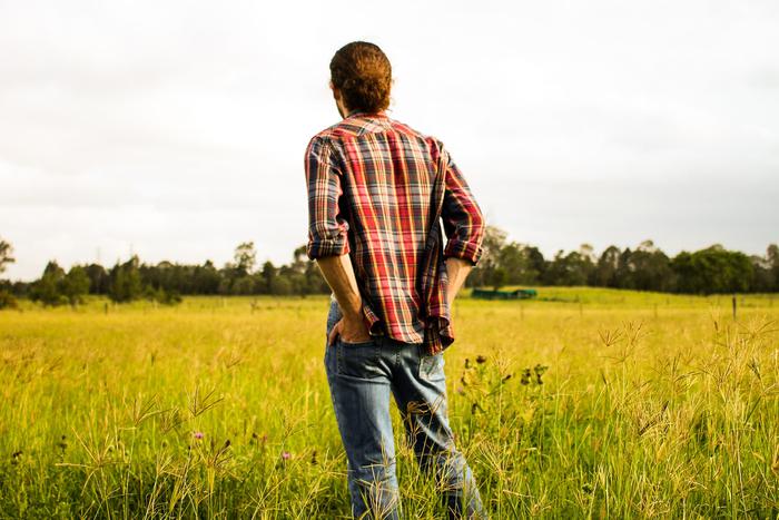 Документы, участок, дом и соседи: на что обратить внимание при покупке дачи