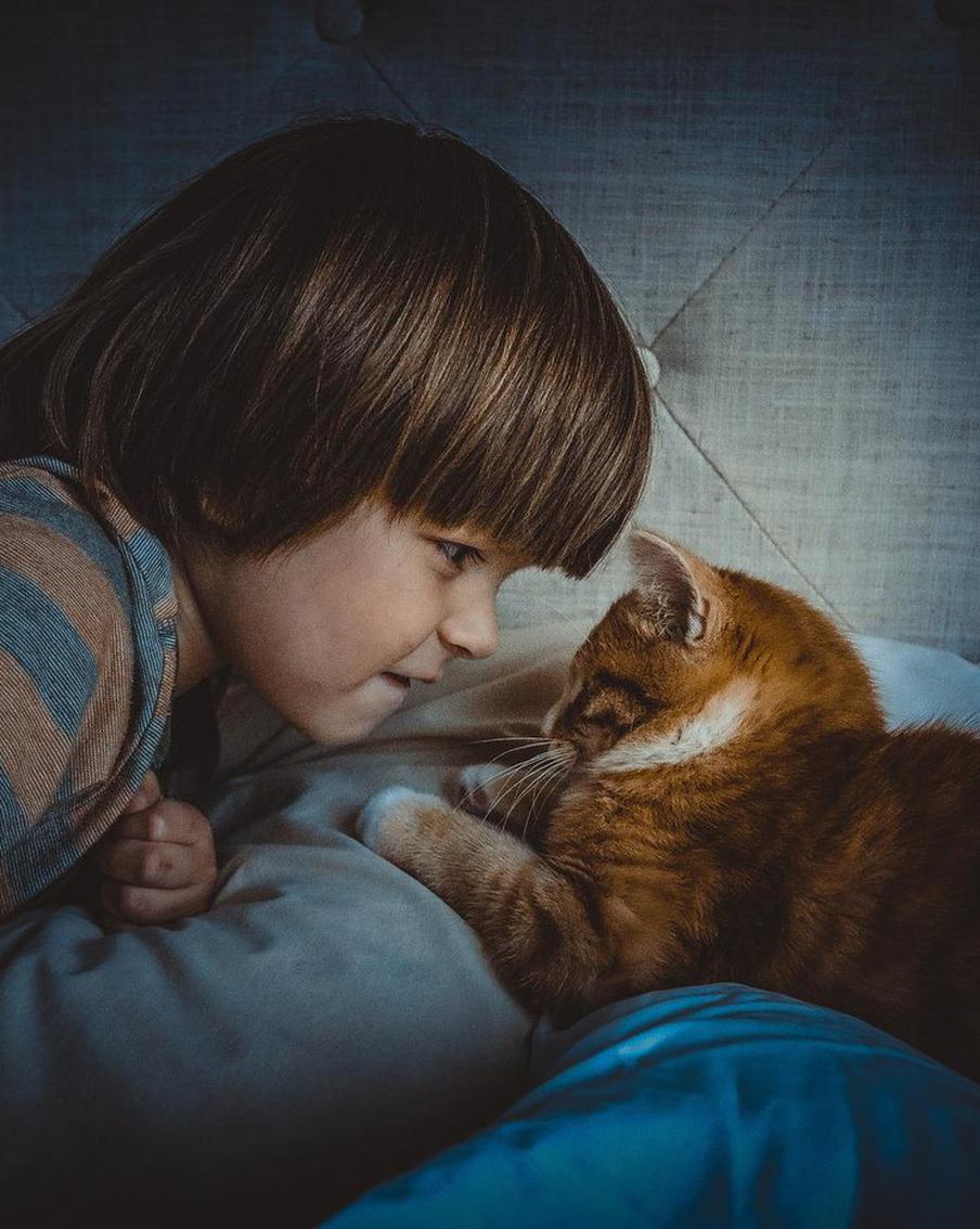 Насколько полезно детям общение с животными и стоит ли заводить питомцев в обязательном порядке