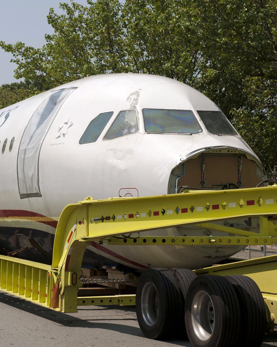 Крокодил на борту самолёта привёл к авиакатастрофе. Вспоминаем другие случаи (например, падение авиалайнера из-за... осы!)