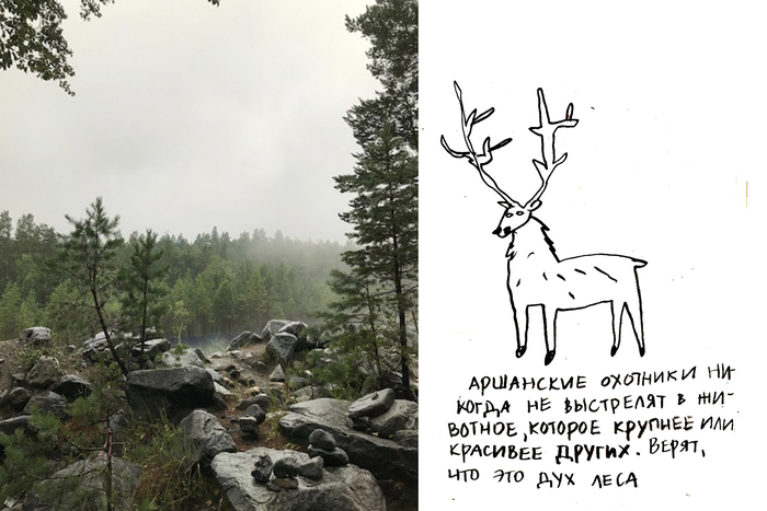 "Беру альбом, карандаши – и в путь". Художница рассказывает о путешествиях с помощью рисунков