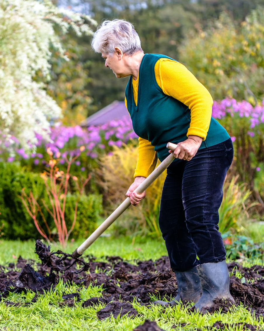 Какие дела в огороде нужно делать в сентябре