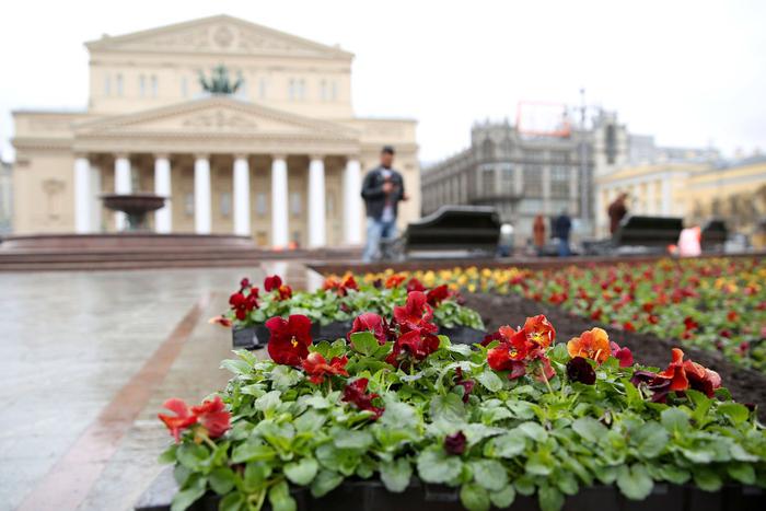 "Мой район" развивается, уделяя особое внимание деталям
