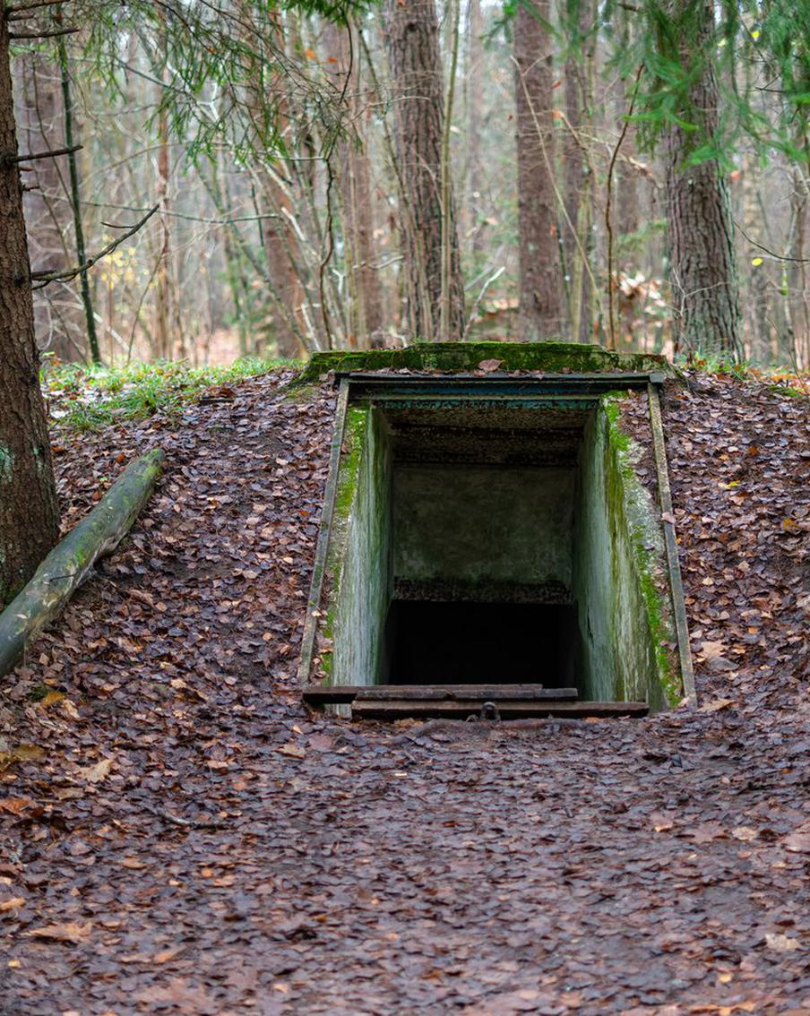Человечество не спасётся, если и дальше будет строить бункеры не там и не те