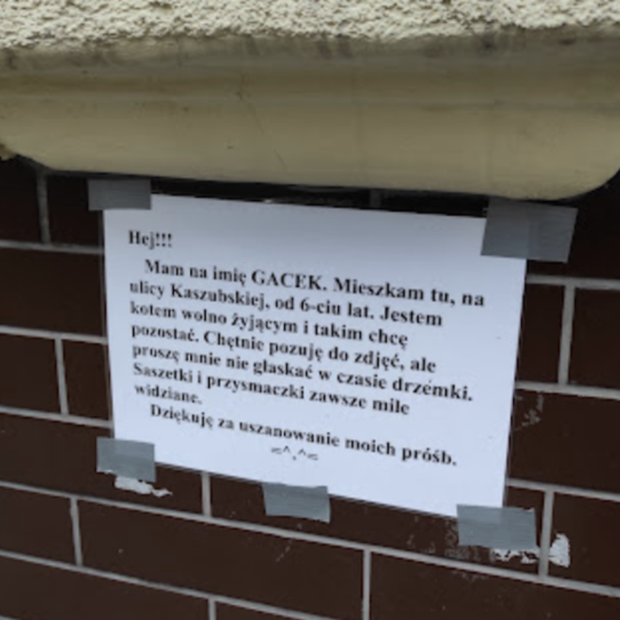 Так выглядит табличка над достопримечательностью "Кот Гацек". В ней животное просит не гладить его и не уносит домой